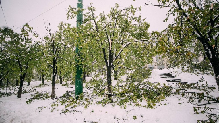 SECOND day of snowstorm in Moldova. Blizzard SHUTS DOWN most of the country (PHOTO/VIDEO)