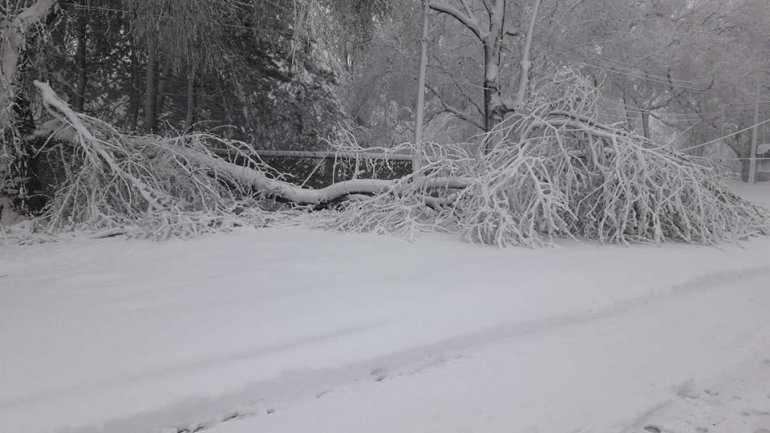 SECOND day of snowstorm in Moldova. Blizzard SHUTS DOWN most of the country (PHOTO/VIDEO)