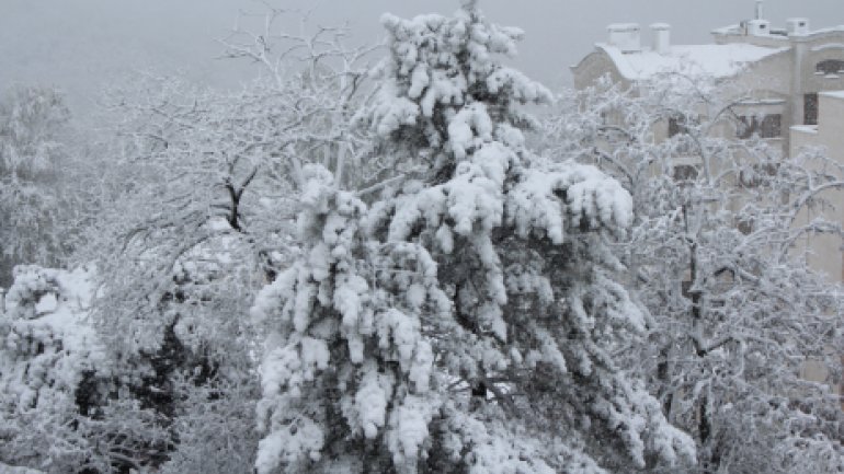 April snow causes HAVOC in Moldova (PHOTO/VIDEO)