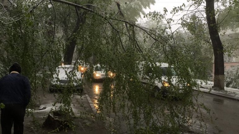 April snow causes HAVOC in Moldova (PHOTO/VIDEO)