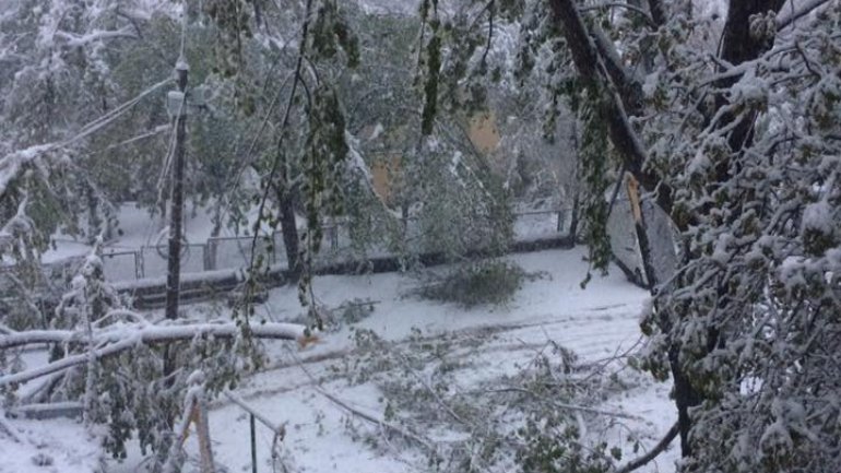 SECOND day of snowstorm in Moldova. Blizzard SHUTS DOWN most of the country (PHOTO/VIDEO)