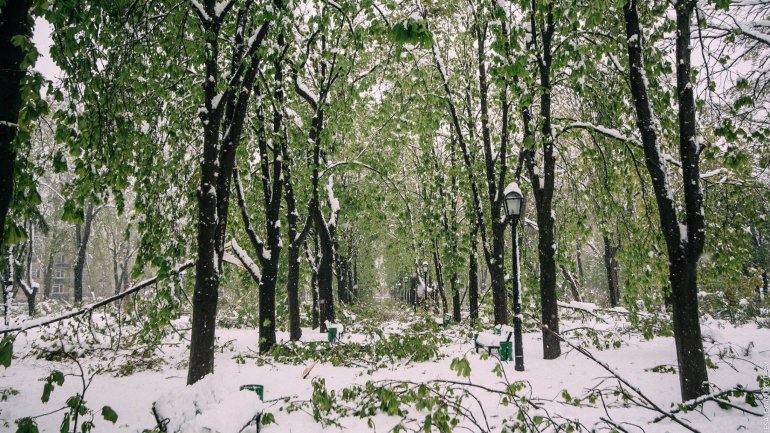 SECOND day of snowstorm in Moldova. Blizzard SHUTS DOWN most of the country (PHOTO/VIDEO)