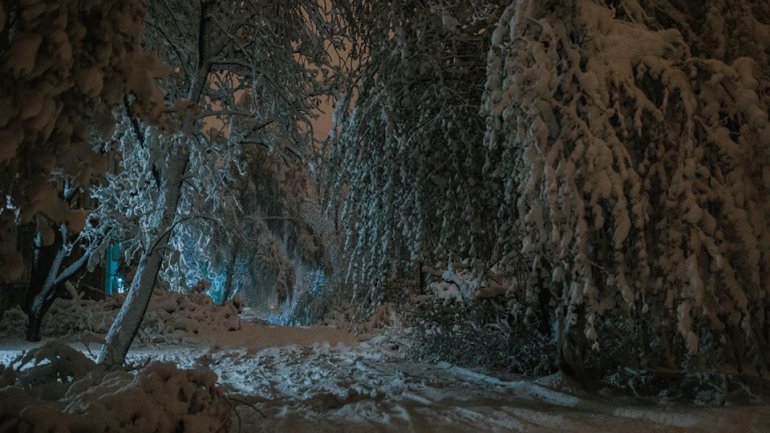 SECOND day of snowstorm in Moldova. Blizzard SHUTS DOWN most of the country (PHOTO/VIDEO)