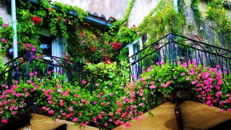MOST BEAUTIFUL facade, balcony and garden in Bucharest to be awarded by City Hall