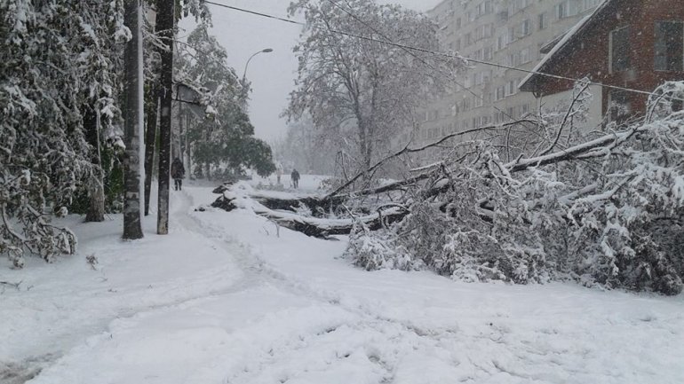 SECOND day of snowstorm in Moldova. Blizzard SHUTS DOWN most of the country (PHOTO/VIDEO)