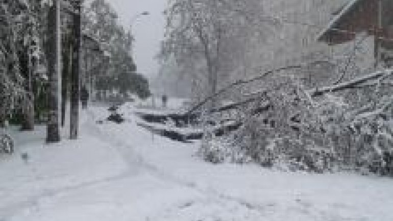 SECOND day of snowstorm in Moldova. Blizzard SHUTS DOWN most of the country (PHOTO/VIDEO)