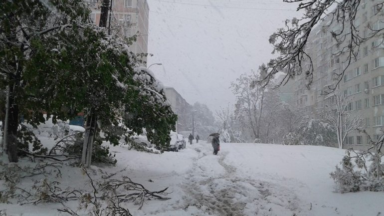 SECOND day of snowstorm in Moldova. Blizzard SHUTS DOWN most of the country (PHOTO/VIDEO)