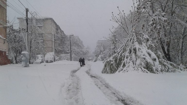 SECOND day of snowstorm in Moldova. Blizzard SHUTS DOWN most of the country (PHOTO/VIDEO)