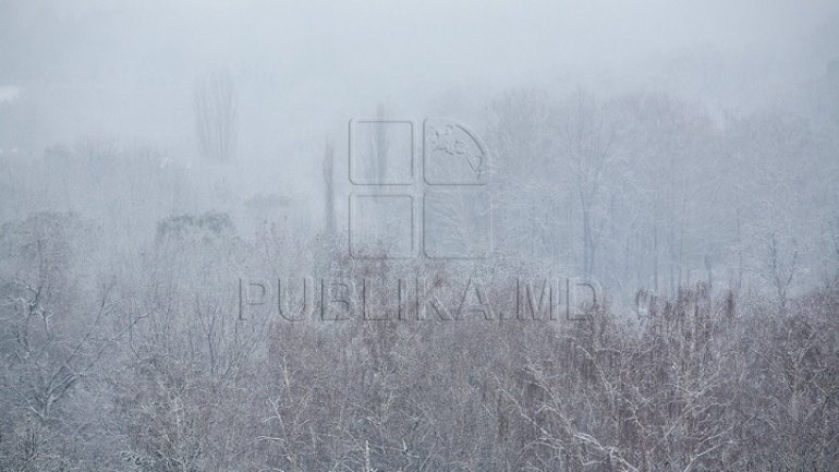 Actualized YELLOW CODE of bad weather! Snowfalls and frosts throughout country 