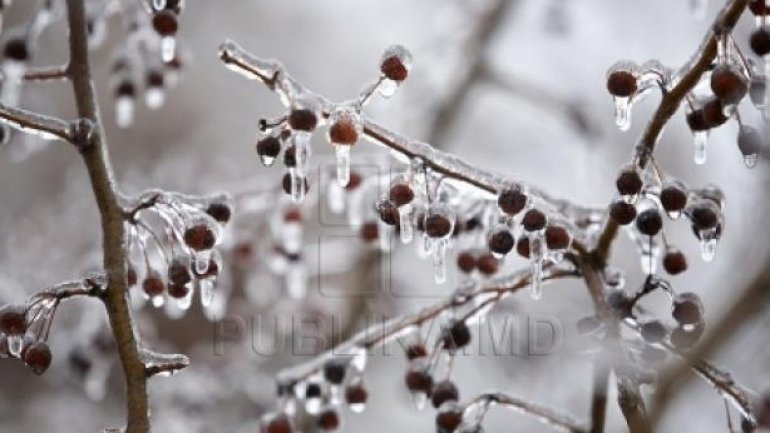 Minus degree temperature as yellow warning of FROST established in Moldova