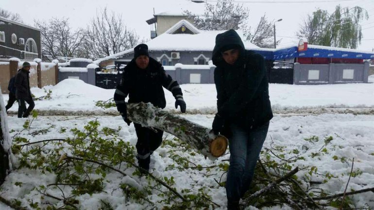 SECOND day of snowstorm in Moldova. Blizzard SHUTS DOWN most of the country (PHOTO/VIDEO)