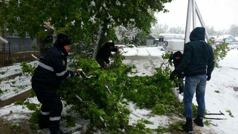 SECOND day of snowstorm in Moldova. Blizzard SHUTS DOWN most of the country (PHOTO/VIDEO)