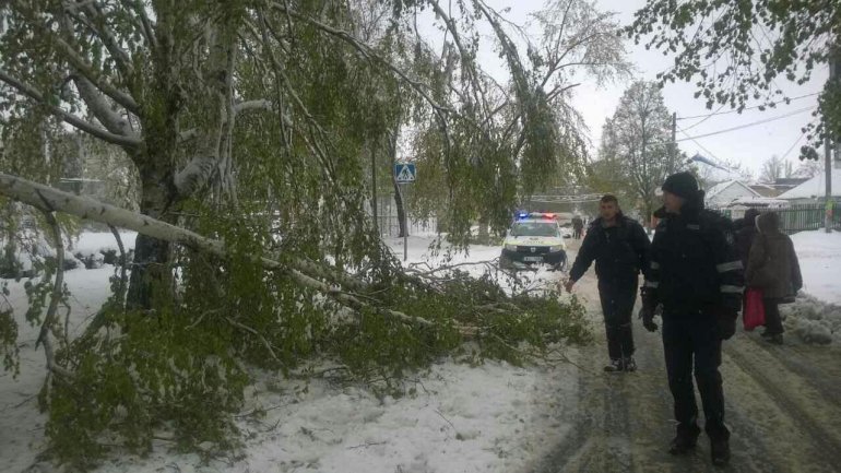 SECOND day of snowstorm in Moldova. Blizzard SHUTS DOWN most of the country (PHOTO/VIDEO)