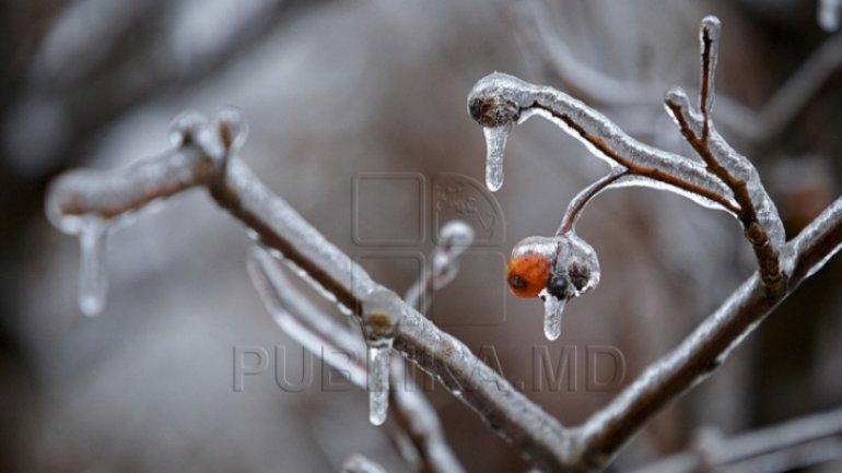 WEATHER FORECAST in Moldova for April 9, 2017. Code Yellow of frost issued for Monday