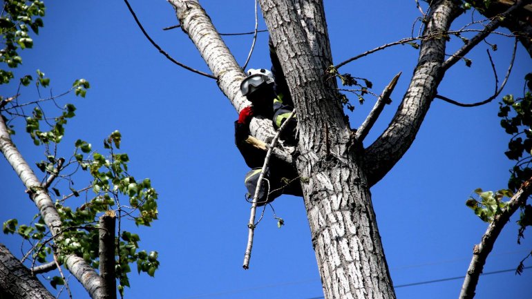 (PHOTO GALLERY) Rescuers, volunteers work hard over weekend to clean up capital city