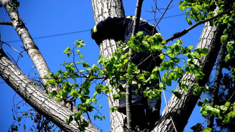 (PHOTO GALLERY) Rescuers, volunteers work hard over weekend to clean up capital city