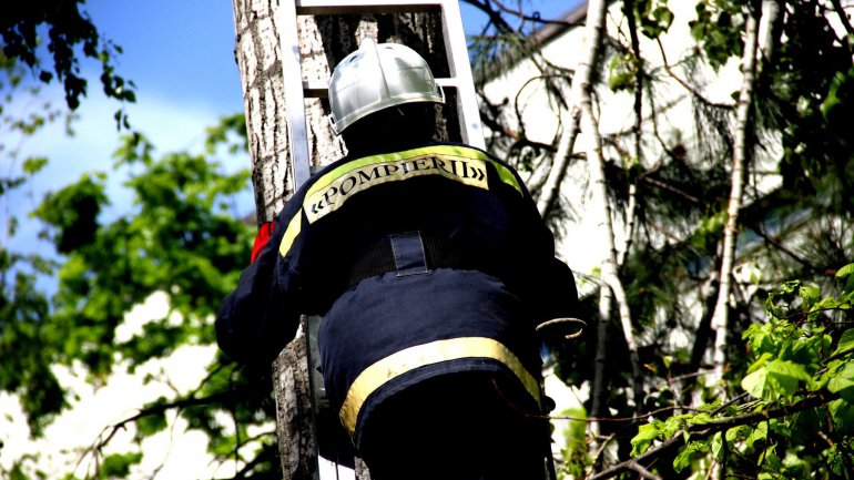 (PHOTO GALLERY) Rescuers, volunteers work hard over weekend to clean up capital city