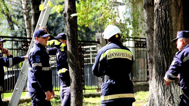 (PHOTO GALLERY) Rescuers, volunteers work hard over weekend to clean up capital city