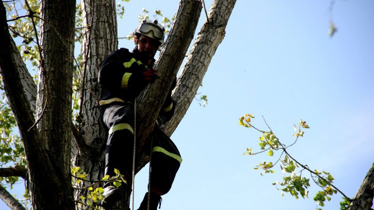 (PHOTO GALLERY) Rescuers, volunteers work hard over weekend to clean up capital city