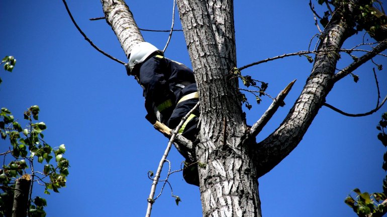 (PHOTO GALLERY) Rescuers, volunteers work hard over weekend to clean up capital city