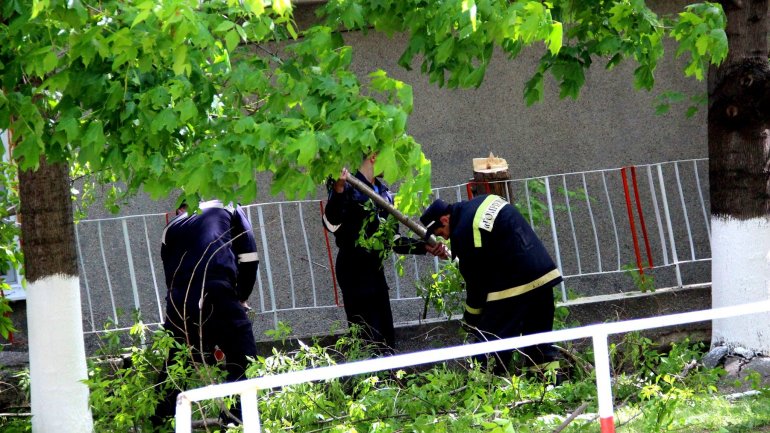 (PHOTO GALLERY) Rescuers, volunteers work hard over weekend to clean up capital city