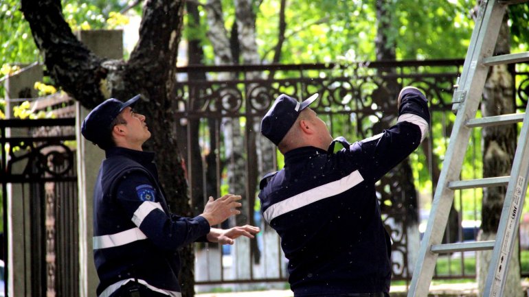 (PHOTO GALLERY) Rescuers, volunteers work hard over weekend to clean up capital city