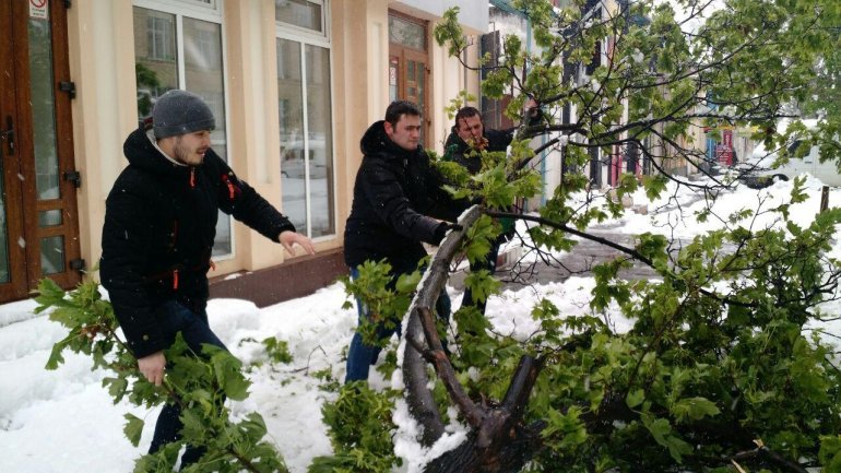 Young democrats help removing blizzard consequences (VIDEO)