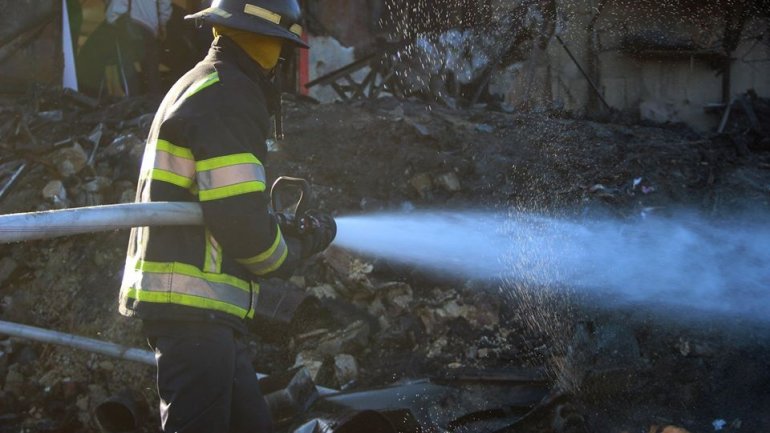 HUNDREDS of hectares of vegetation affected by fire in last 24 hours (PHOTO/VIDEO)