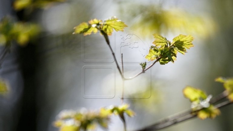 WEATHER FORECAST for coming days in Moldova