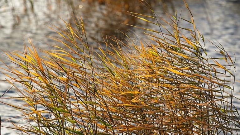 Yellow warning of wind throughout the country 