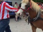 Ponies break loose, injure 3 at Wisconsin Memorial Day parade (VIDEO)