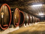 Famed Moldovan wine maker to start exporting to Russia