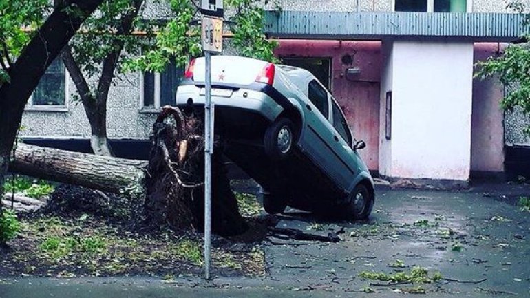 Moscow reports 16 deaths after freak winds (PHOTO/VIDEO)