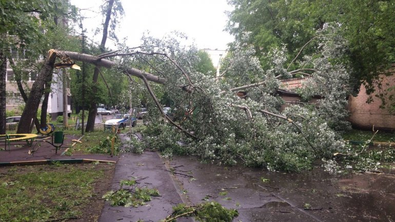 Moscow reports 16 deaths after freak winds (PHOTO/VIDEO)