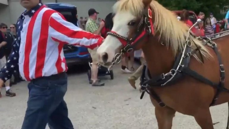 Ponies break loose, injure 3 at Wisconsin Memorial Day parade (VIDEO)