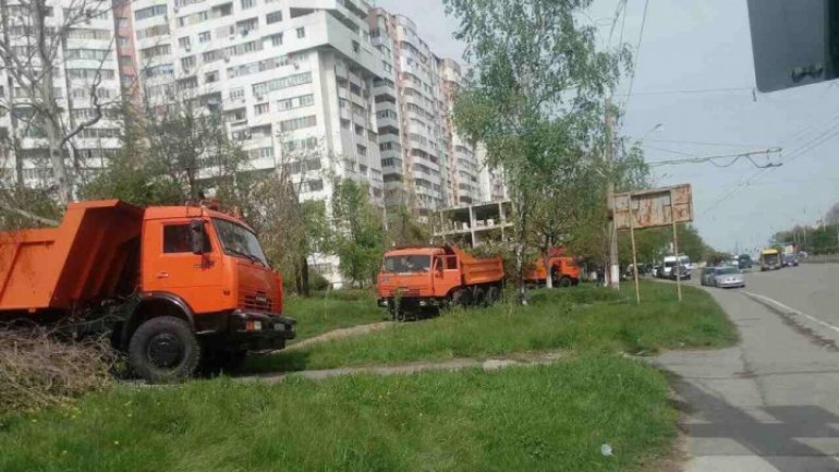 Rescuers continue removing branches in Chisinau, despite May Day