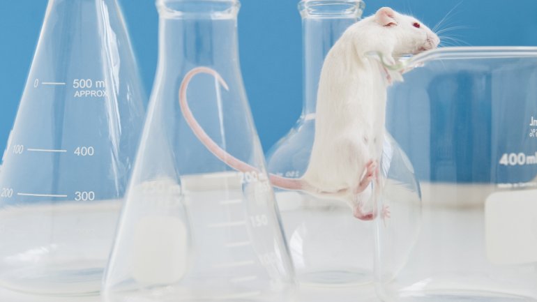 PREMIERE: Scientists manage to cure HIV in animals