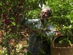 Global warming brews big trouble in coffee birthplace Ethiopia