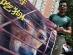 Yulin dog meat festival begins despite rumours of ban