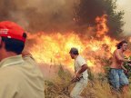 Death toll rises to 62 in wild fire in Portugal