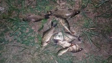 Fishermen caught red-handed poaching in Dniester river (PHOTO)