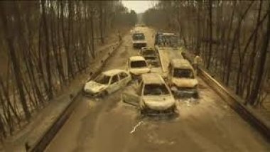 Portugal forest fire: Drone footage shows burnt-out cars (VIDEO)