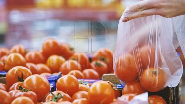 NO MORE CHEMICALS. Farmers to grow organic products with help of innovative techniques