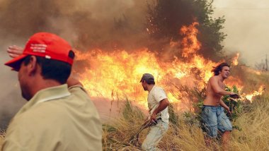 Death toll rises to 62 in wild fire in Portugal