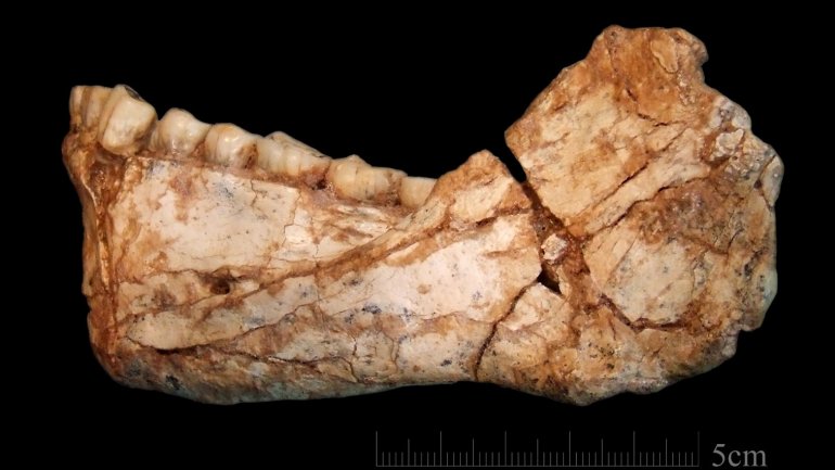 Oldest fossils of Homo Sapiens found in Morocco change history of our species