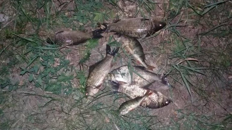 Fishermen caught red-handed poaching in Dniester river (PHOTO)