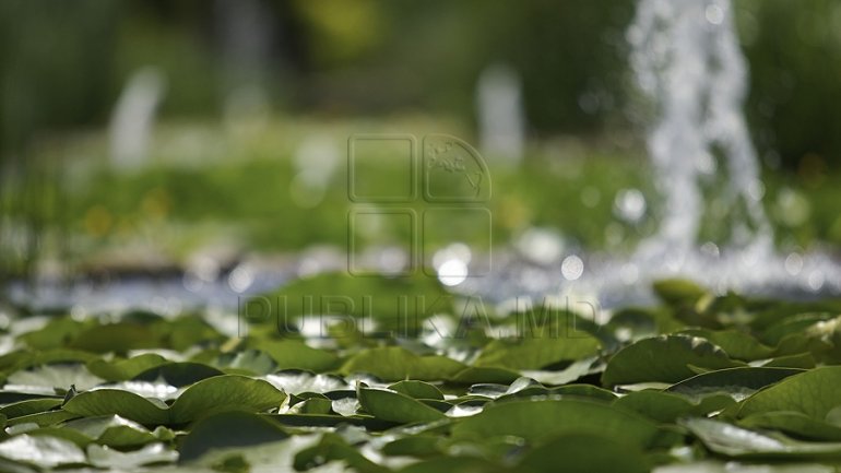 WEATHER FORECAST in Moldova for June 19, 2017