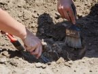 Stunning medieval tombs found in Costesti village