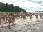 Finland in 'record-breaking' skinny dip 