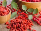 Goji - Chinese fruits, harvested in Moldova 